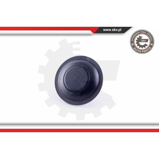 96SKV123 - Locking Knob 