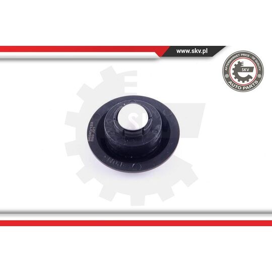 96SKV123 - Locking Knob 