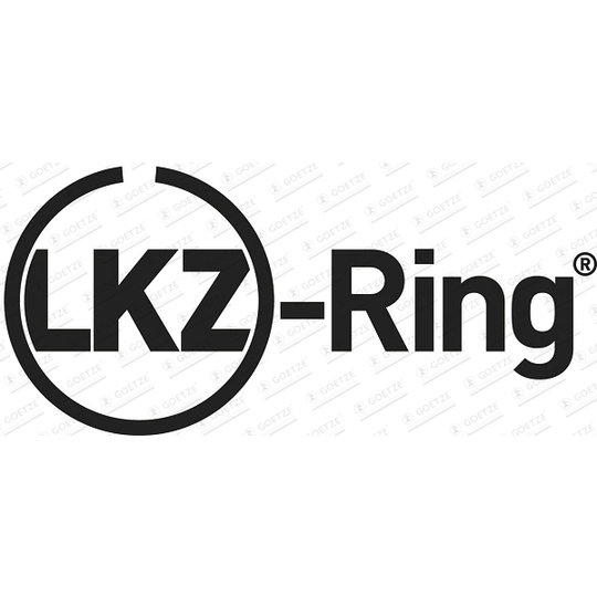 08-421600-10 - Piston Ring Kit 