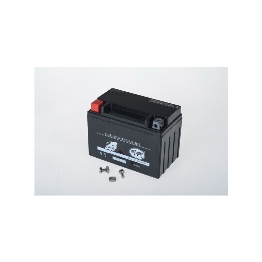 TMBA51101 - Starter Battery 