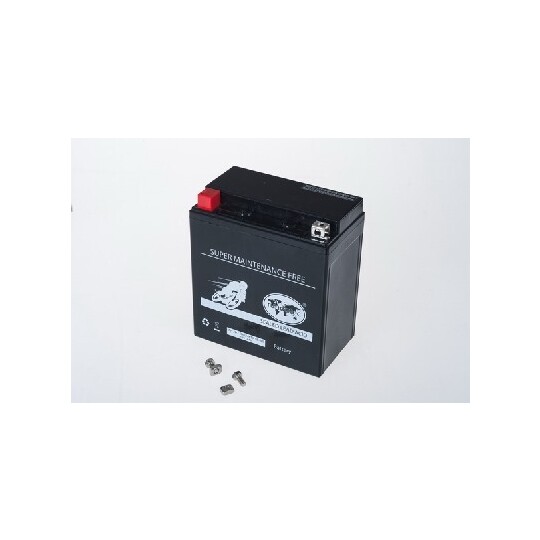 TMBA81600 - Starter Battery 