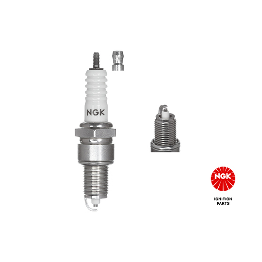 5411 - Spark Plug 