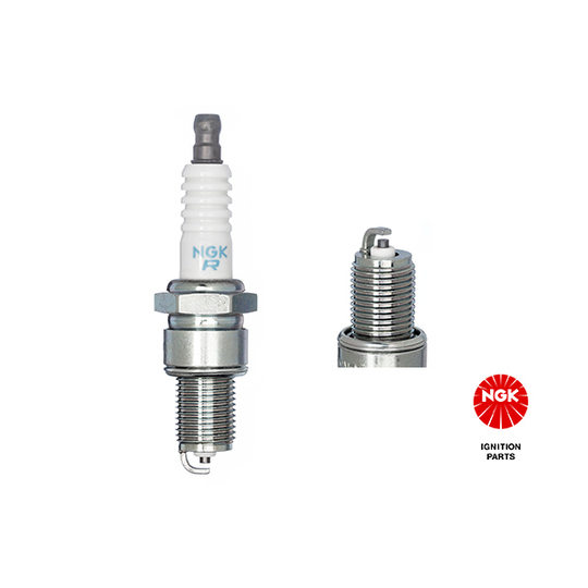 7031 - Spark Plug 