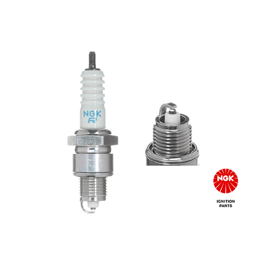 7937 - Spark Plug 