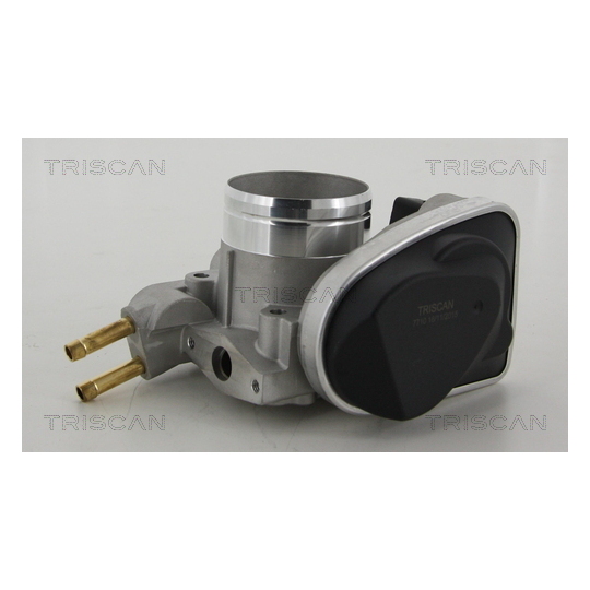 8820 29005 - Throttle body 