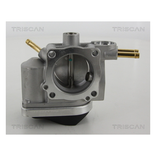 8820 29005 - Throttle body 