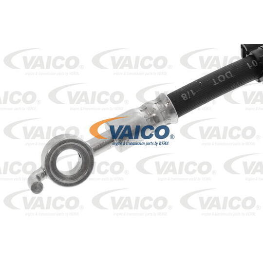 V22-0621 - Brake Hose 