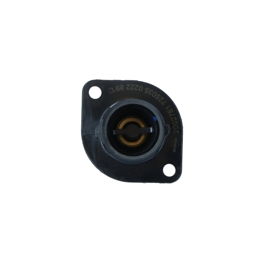 725035 - Thermostat, coolant 