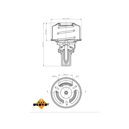 725007 - Thermostat, coolant 