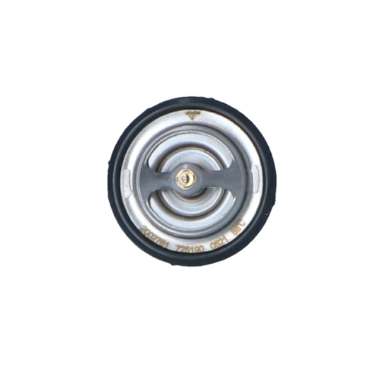 725190 - Thermostat, coolant 