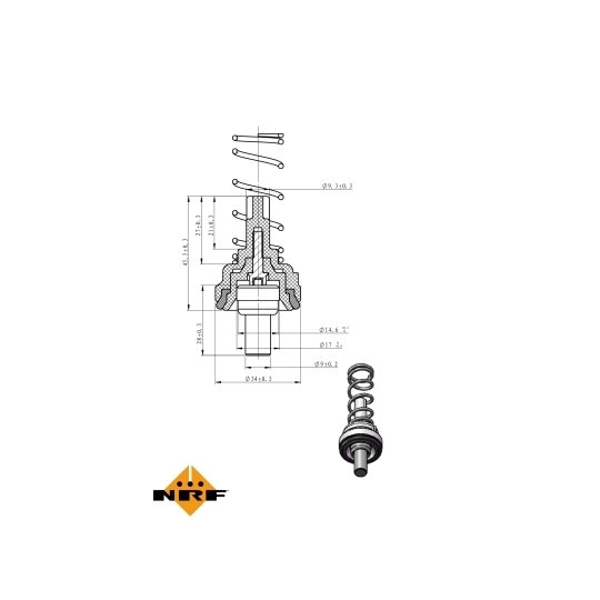 725203 - Thermostat, coolant 