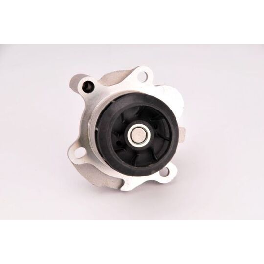 D1W050TT - Water pump 