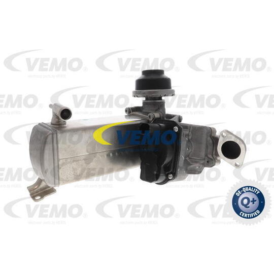 V10-63-0119 - EGR Valve 