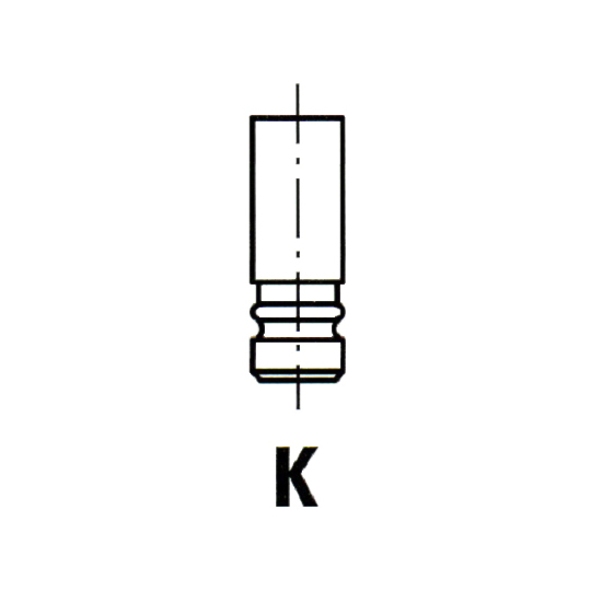 VL013900 - Outlet valve 