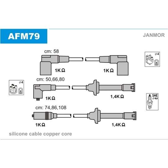 AFM79 - Ignition Cable Kit 