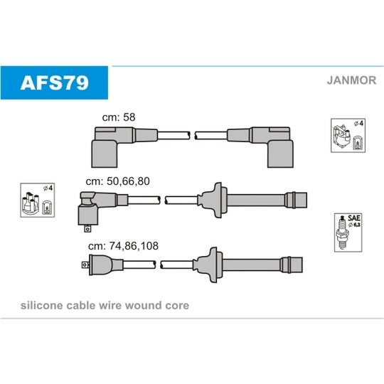 AFS79 - Ignition Cable Kit 