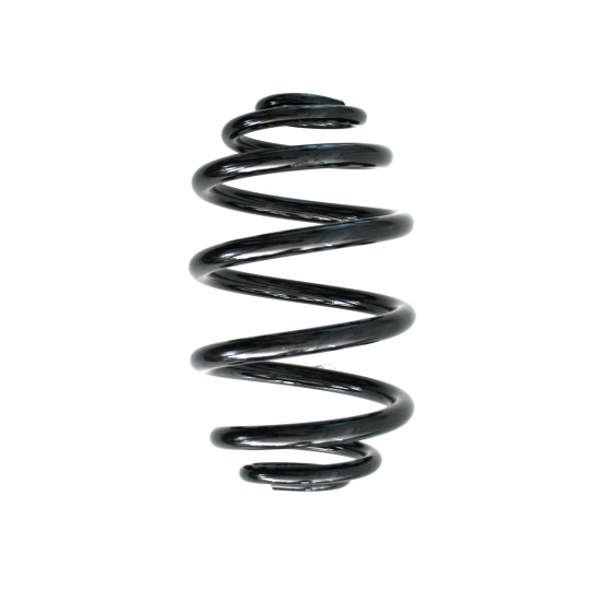 48073 - Coil Spring 