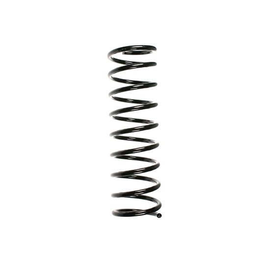 48273 - Coil Spring 