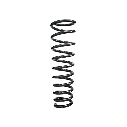 49541 - Coil Spring 