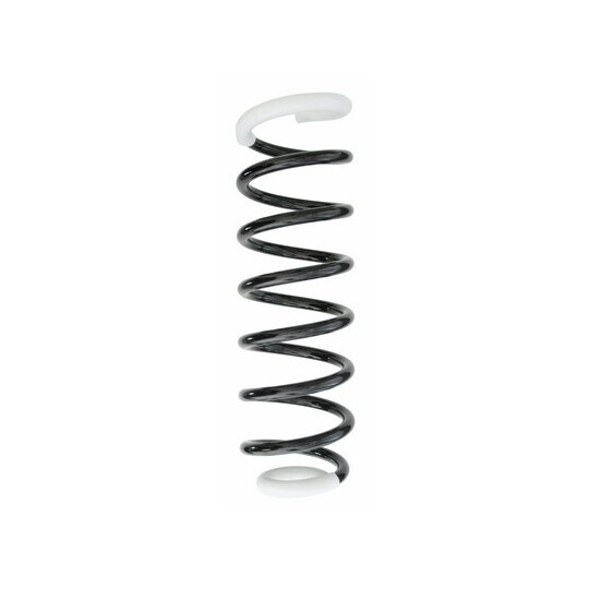 49693 - Coil Spring 