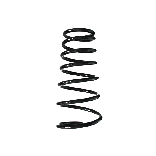 55538 - Coil Spring 