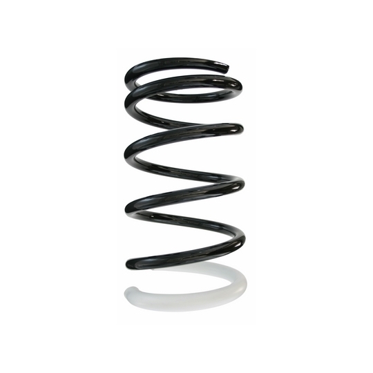 87119 - Coil Spring 