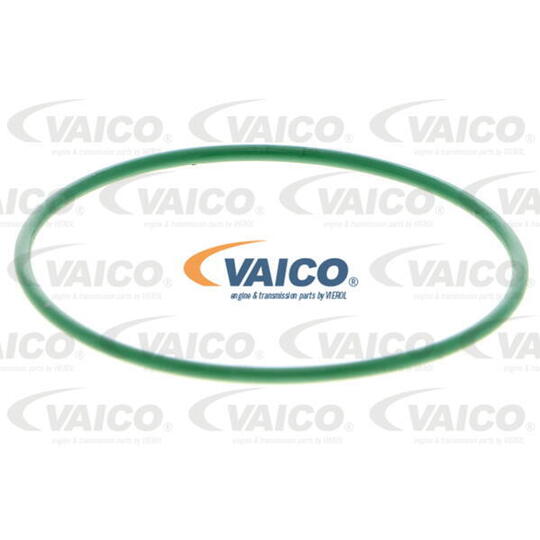 V10-0732 - Vacuum Pump, brake system 