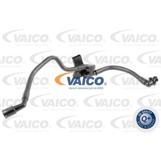 V10-3629 - Vacuum Hose, braking system 