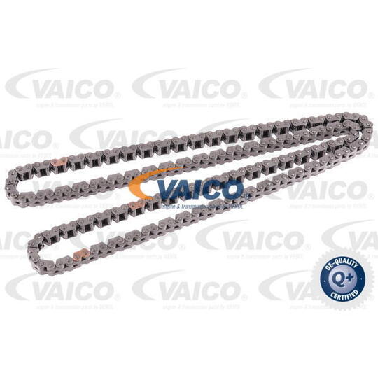 V10-4455 - Timing Chain 