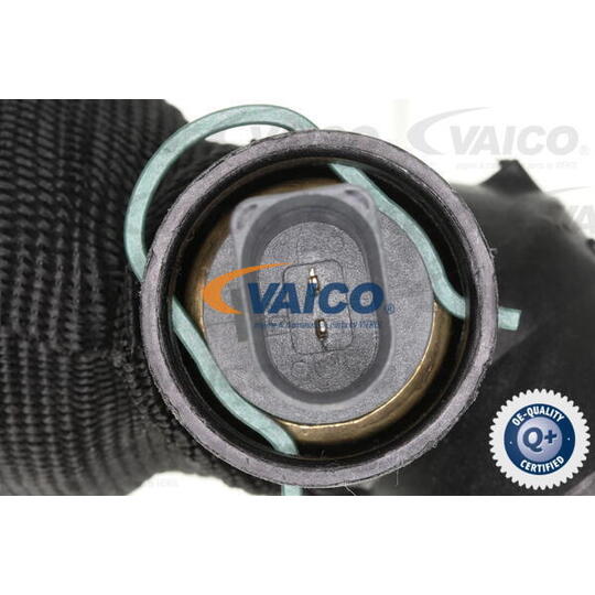 V10-4767 - Radiator Hose 