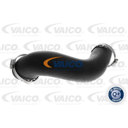 V10-4817 - Charger Intake Hose 