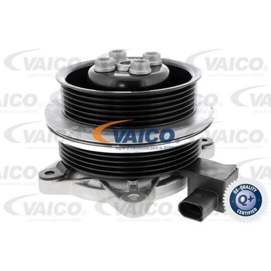 V10-50065 - Water pump 