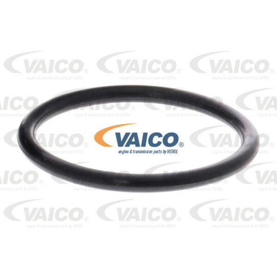 V10-6556 - Coolant Flange 