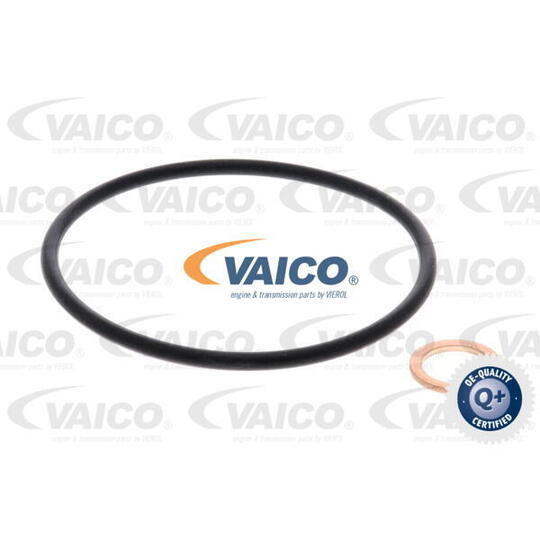 V20-0646 - Oil filter 