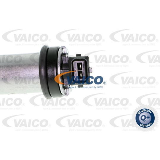 V20-2954 - VVT-ventil 