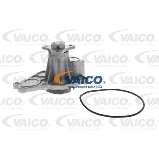 V20-50069 - Water pump 