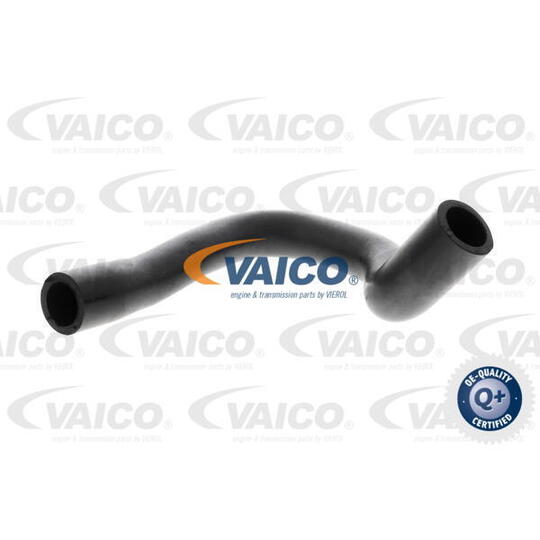 V24-1291 - Hose, crankcase breather 