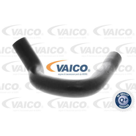 V24-1291 - Hose, crankcase breather 