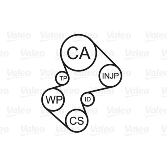 614521 - Water Pump & Timing Belt Set 