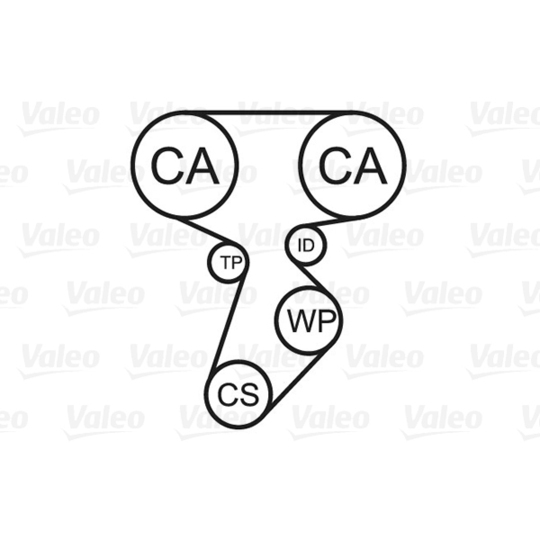 614514 - Water Pump & Timing Belt Set 