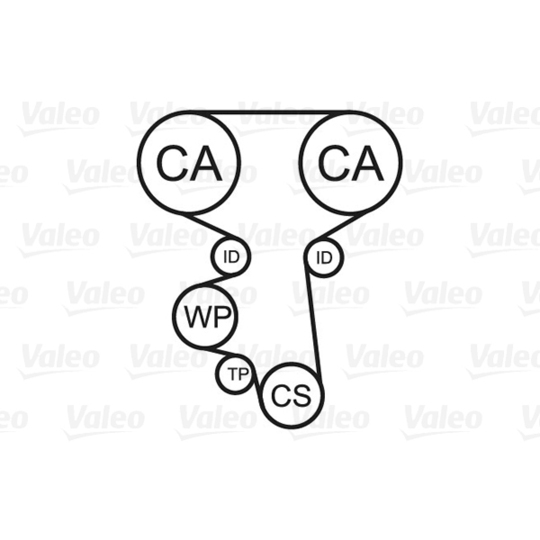 614553 - Water Pump & Timing Belt Set 