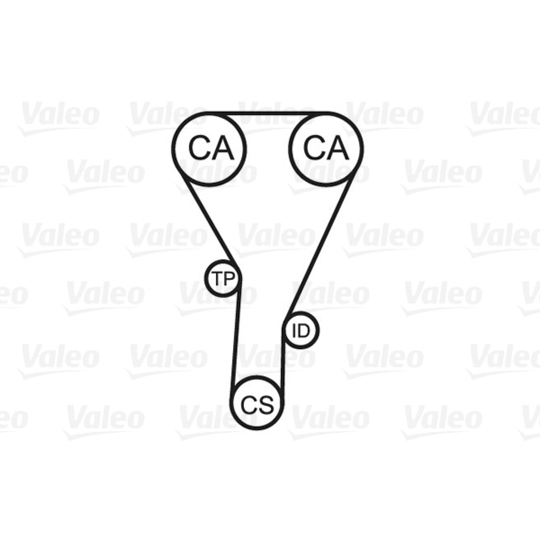 614577 - Water Pump & Timing Belt Set 