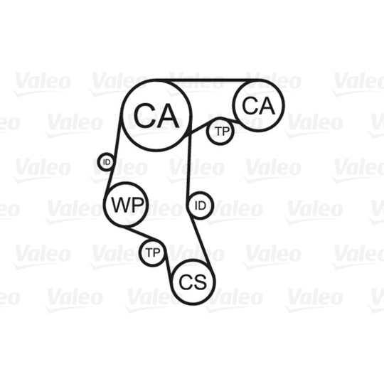 614584 - Water Pump & Timing Belt Set 