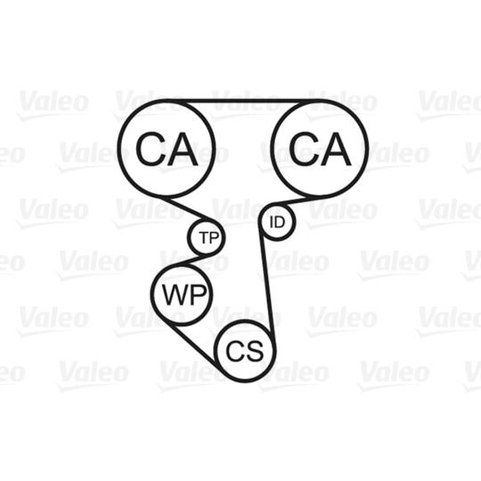 614586 - Water Pump & Timing Belt Set 