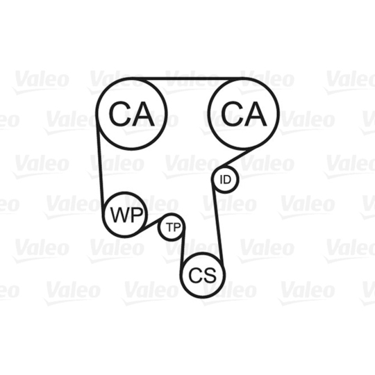 614597 - Water Pump & Timing Belt Set 