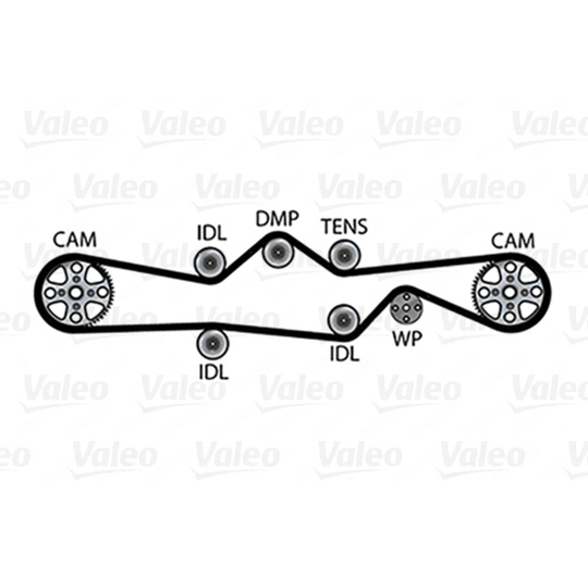 614637 - Water Pump & Timing Belt Set 