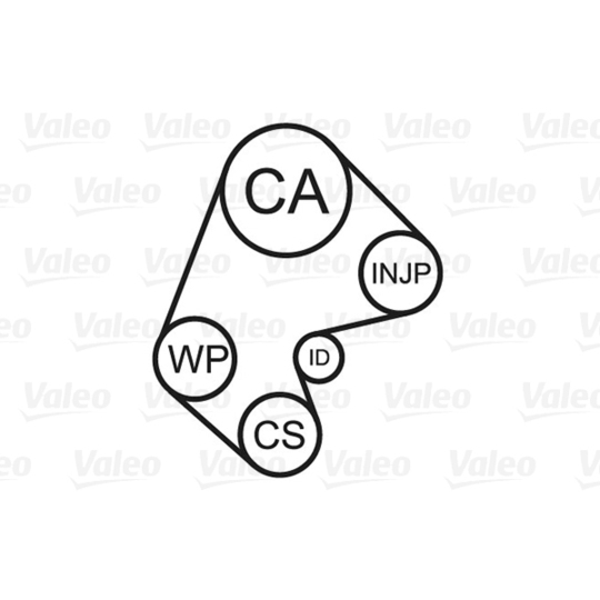 614660 - Water Pump & Timing Belt Set 