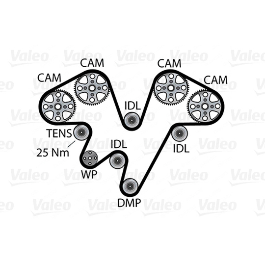 614667 - Water Pump & Timing Belt Set 