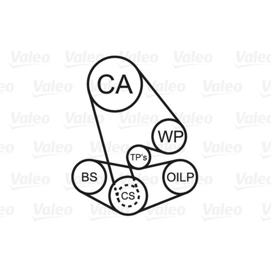 614661 - Water Pump & Timing Belt Set 