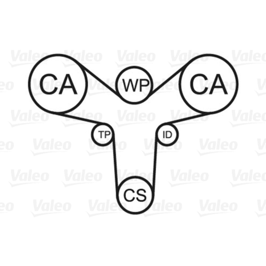 614675 - Water Pump & Timing Belt Set 